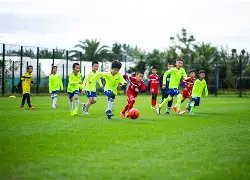 黄金组合,壹号鸽舍奶,倚天梅尔浪,开云体育,开云体育官网,开云体育app,开云体育平台,KAIYUN,SPORTS,kaiyun登录入口