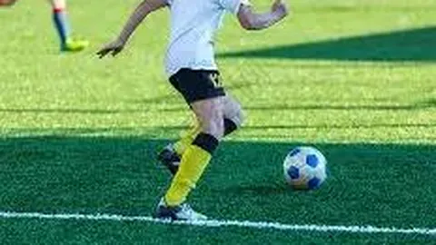 开云·体育 产品 101301 v85