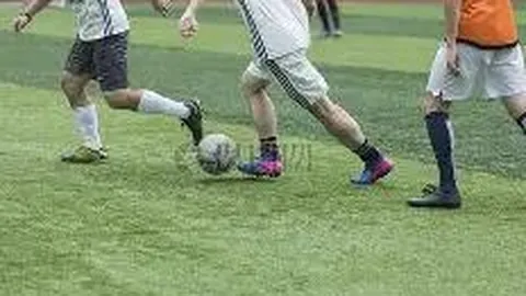 开云·体育 资讯 101257 maf