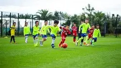 开云·体育 资讯 100856 kty